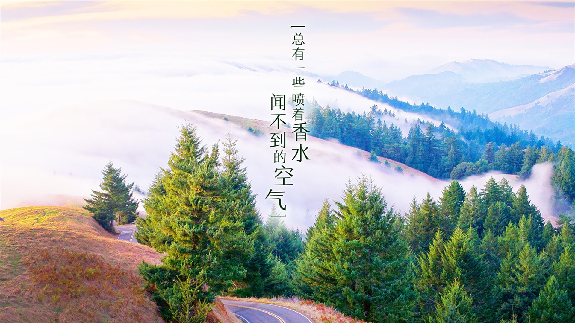 DOTA2赛事数据分析：视野控制与经济分配，谁是数据之王？，dota2 视野