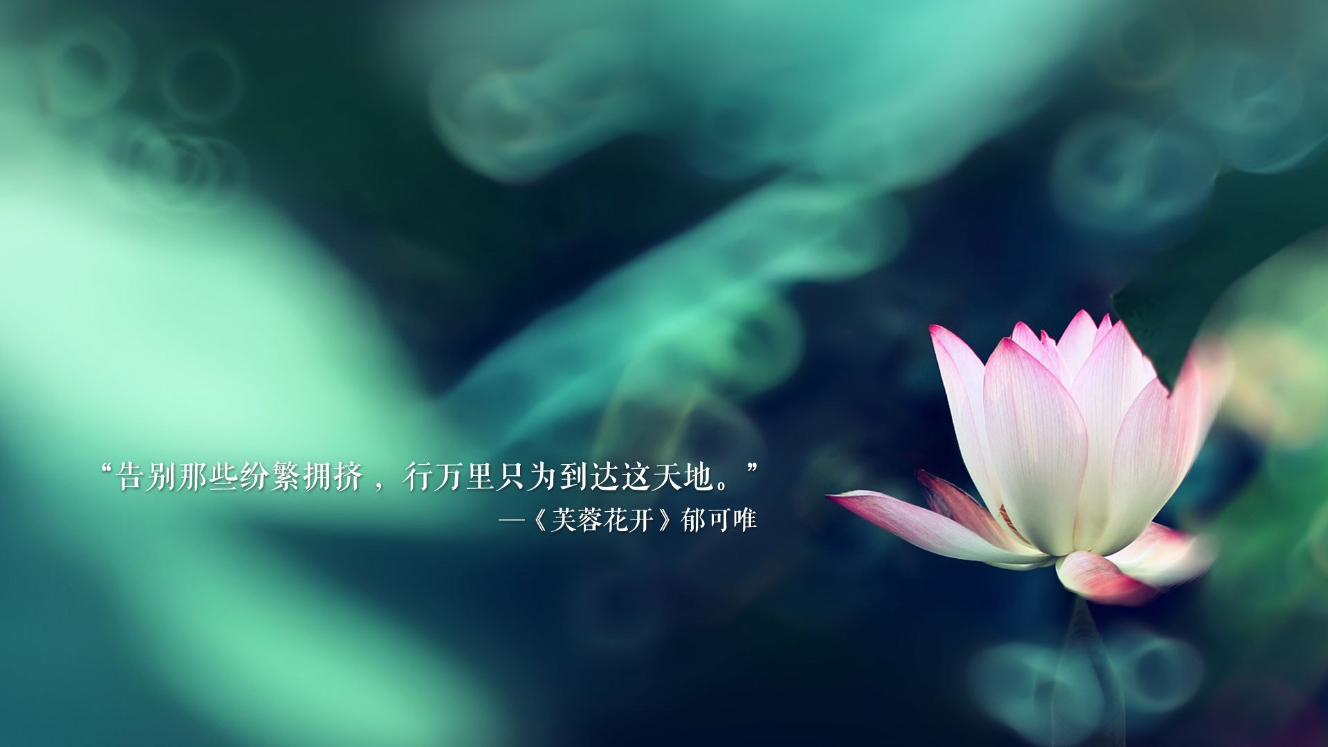 开云中国-“西甲激烈争夺：多支豪门死磕榜首”，豪门三强挥金如土,赚足流量的西甲联赛迎来新伙伴