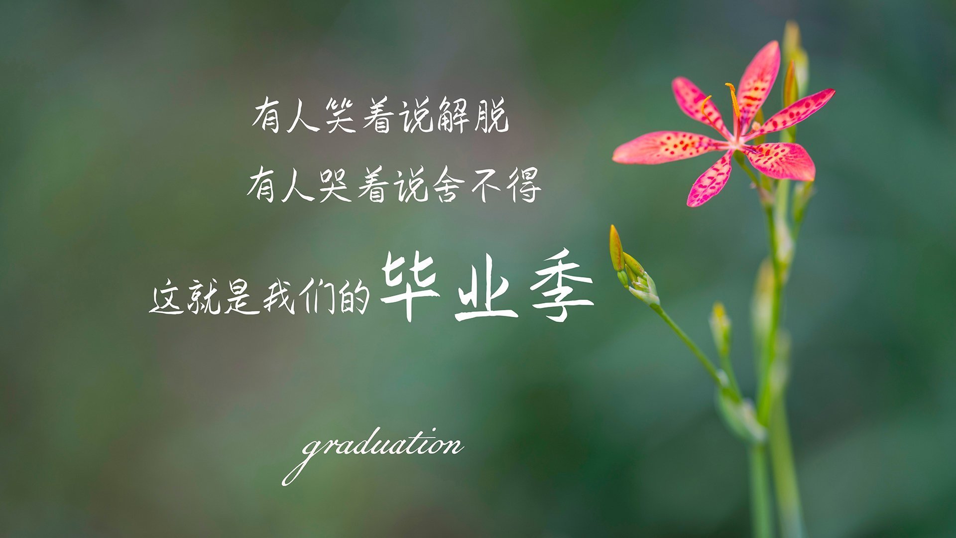电竞与科技领域的紧密结合：技术驱动，体验升级，电竞与游戏