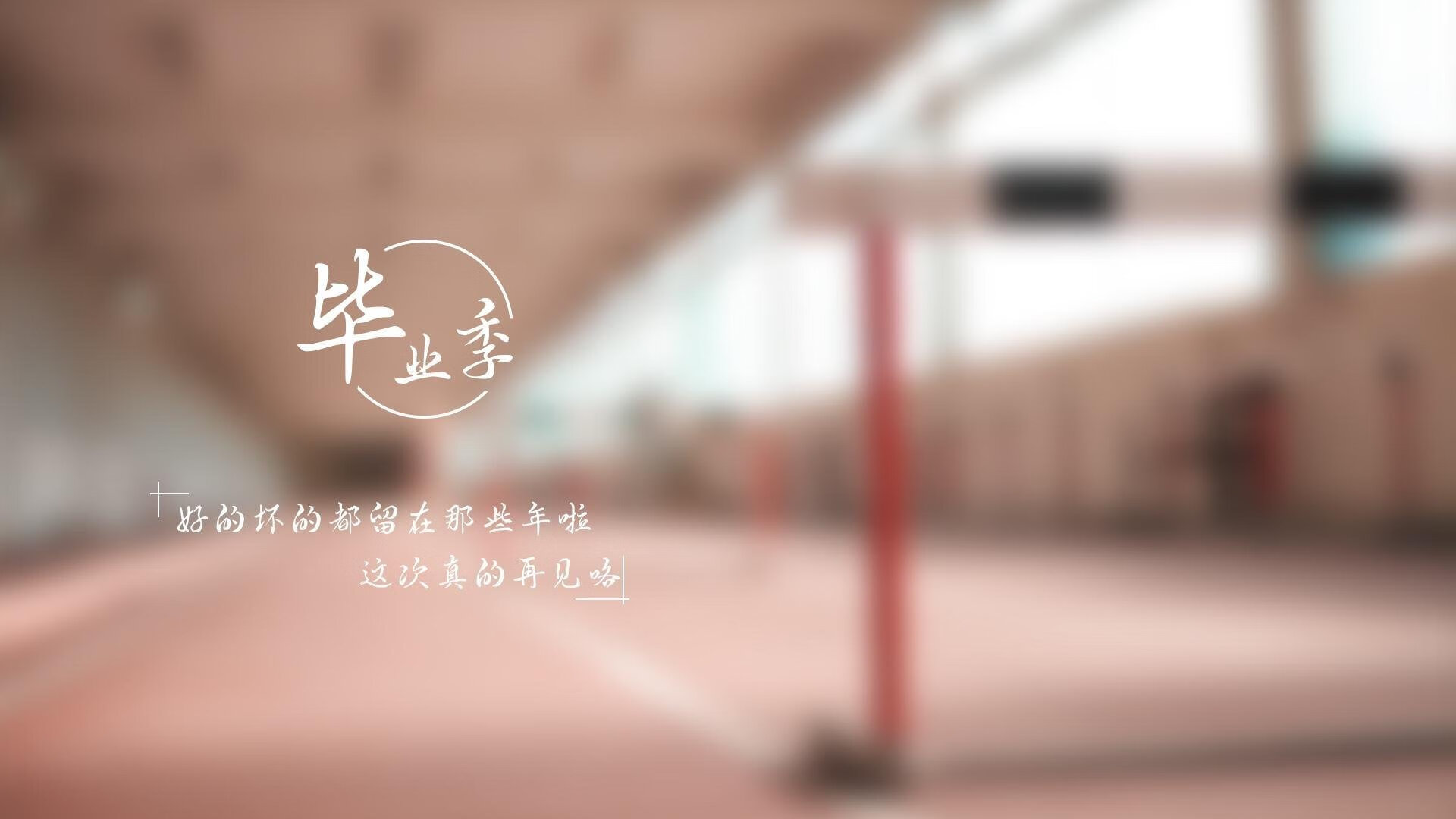世界跆拳道世锦赛中国队揽多个级别金牌，世界跆拳道大赛冠军