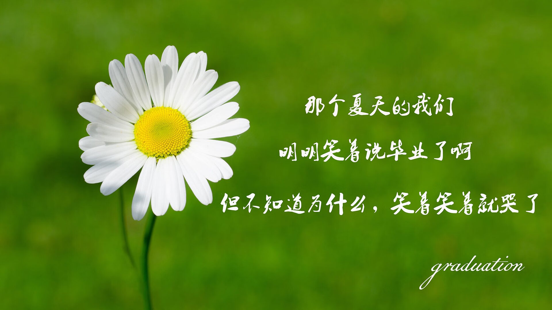 中立B该项目转身动作更精准，中立状态是什么意思