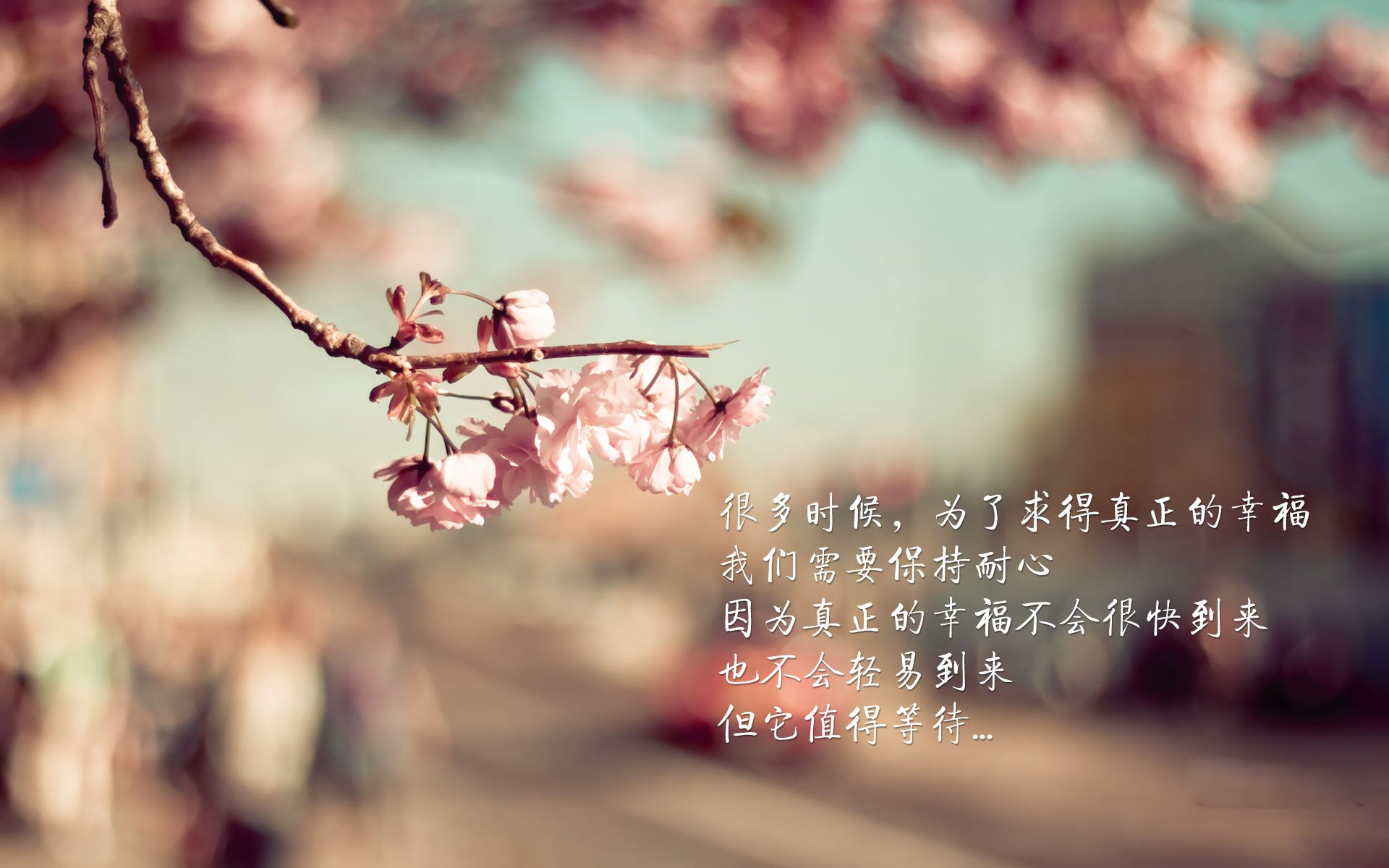 球队三分占比逐年提升背后的逻辑，球队三分命中率排名