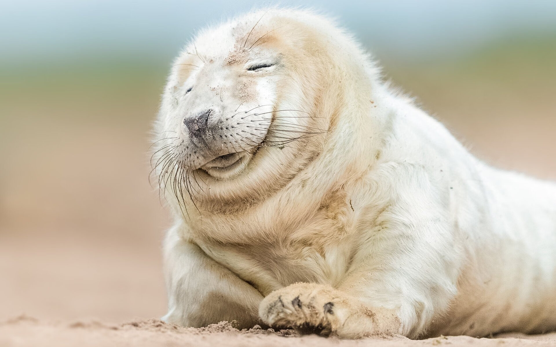 kaiyun官方网站-西甲绝妙瞬间：控球、破门、扑救都精彩纷呈！，2021赛季西甲用球